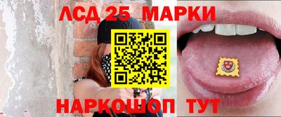 шишки Тверь
