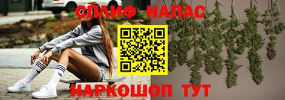 шишки Тверь