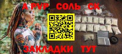 шишки Тверь
